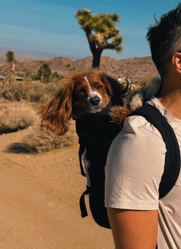 Adventure Lifestyle