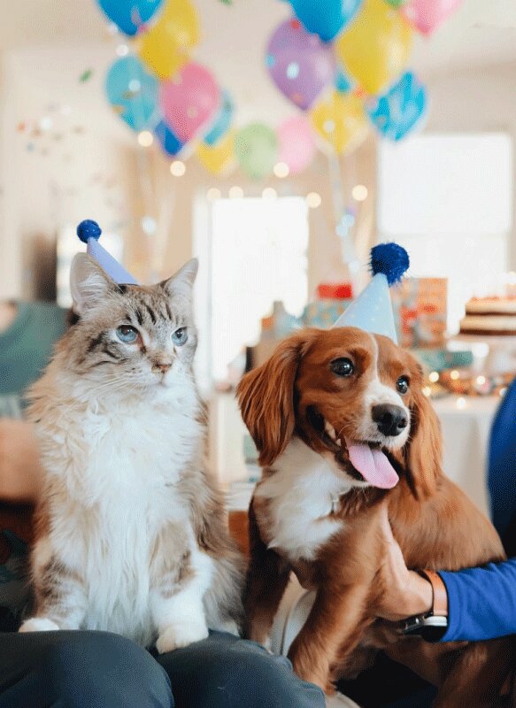 Birthday Story