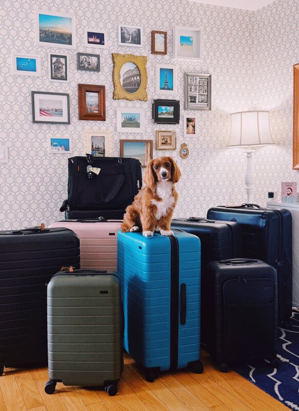 AWAY Luggage