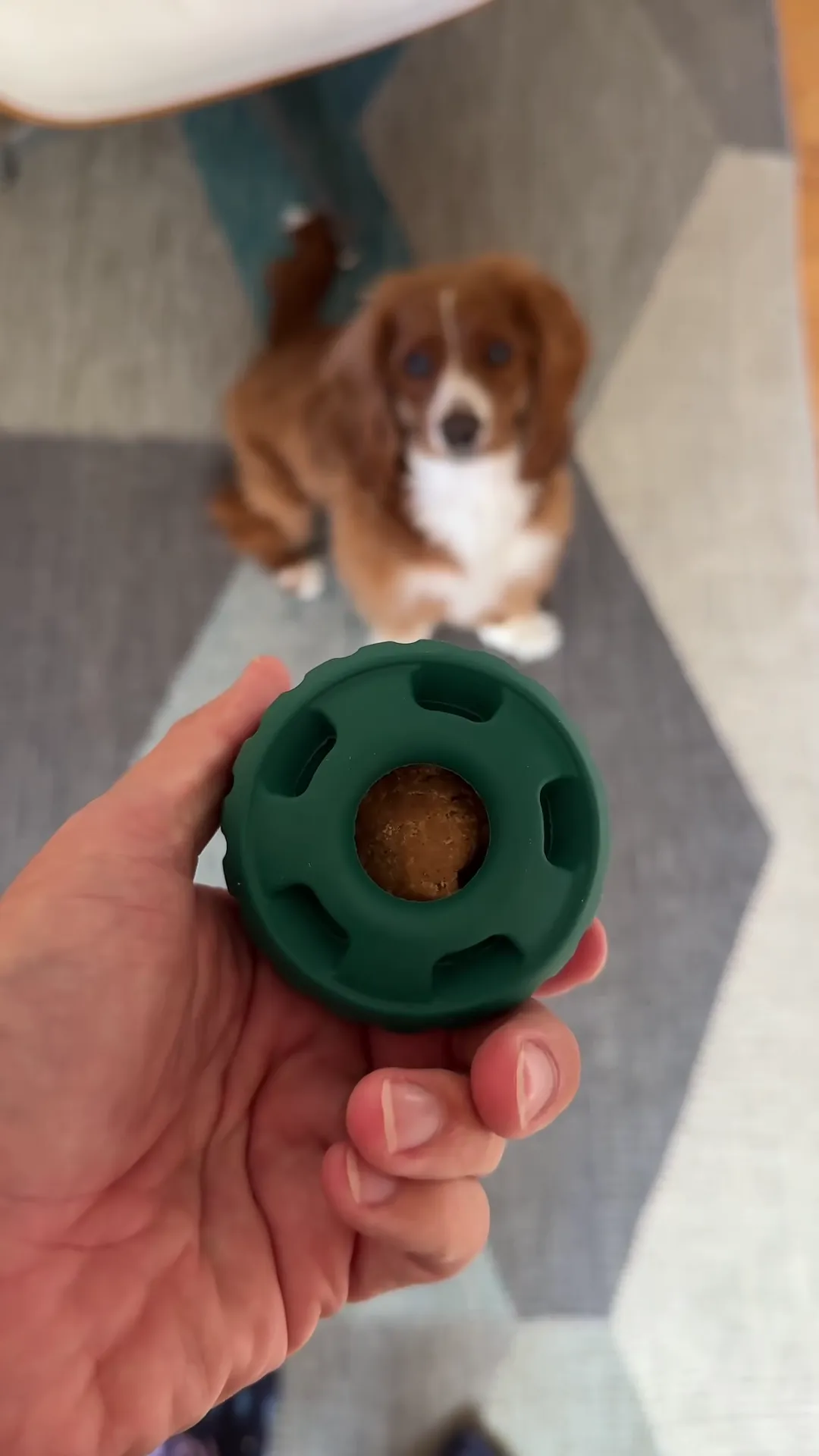 Woof Refillable
